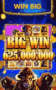 Big Fish Casino Game