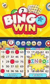 Bingo Win Game