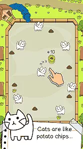 Cat Evolution Game