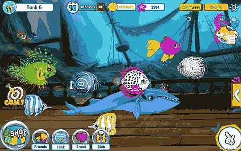 Fish Adventure Seasons Game