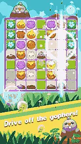 Pet Frenzy Game