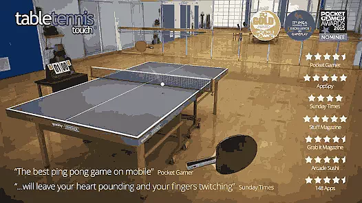 Table Tennis Touch Game
