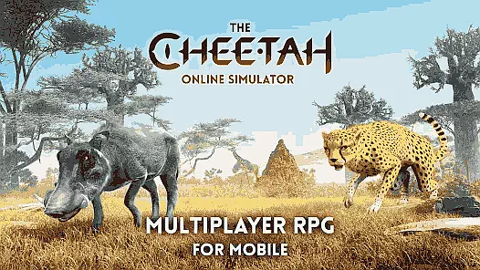 The Cheetah Game