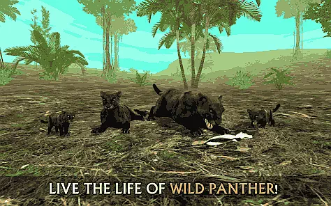 Wild Panther Sim 3D Game