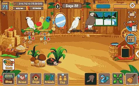 Related Games of Bird Land Paradise