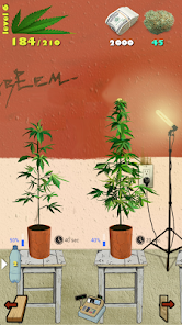 Weed Firm Replanted MOD APK Unlimited Money